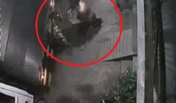 Video: Hai thanh niên ngang nhiên “đánh xe tải” đi trộm cây cảnh